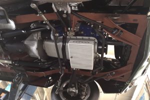 Shelby-engine-belly-web-sized